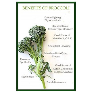 Dioart Broccoli Seeds  50 SEEDS 505