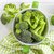 Dioart Broccoli Seeds  100 SEEDS 455