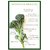 Dioart Broccoli Seeds  50 SEEDS 505