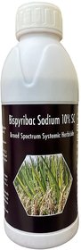 Bispyribac Sodium 10 SC Herbicide Selective Systemic Post Emergent for Rice