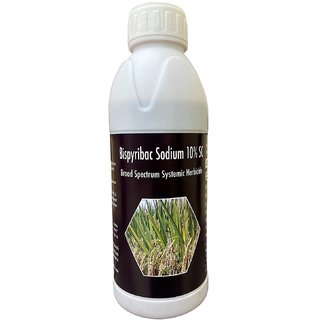 Bispyribac Sodium 10 SC Herbicide Selective Systemic Post Emergent for Rice
