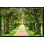 Style UR Home - Endless road painting -  Vastu Complaint - Vinyl Non Tearable High Quality Wall Poster - 24 x 24
