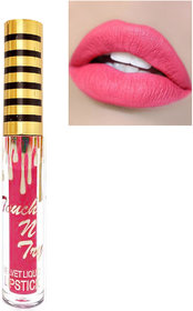 Makeup Beauty Professional Matte Liquid Lipstick Gajari Color