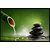 Style UR Home -Ever Green Bamboo Painting -  Vastu Complaint - Vinyl Non Tearable High Quality Wall Poster - 24 x 24