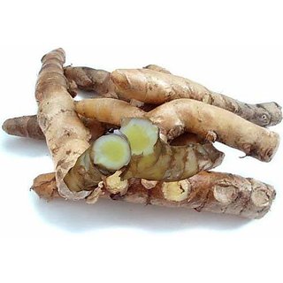                      HERBALISM Curcuma Amada Mango Ginger Amba Haldi Fresh Root-bulb Seeds for Growing 5 Rhizomes.                                              