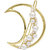 Fashion Story Imported Hair Clips for women with Pearls and Moon, Hair Clips for styling for wedding