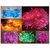 Coloured Rice Lights (Set of 2) (Assorted Colours) (5 mts)