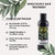 Miraculous Hair Oil Value Pack  Nirakle Kannunyadi Tailam  Rejuvenates  Nourishes Hair (pack of 3) (100 ml x 3)