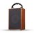 Vizio E11 Wireless Portable Bluetooth Speaker in Wooden Body with Supporting Carry Handle,USB,FM Radio,SD Card Function
