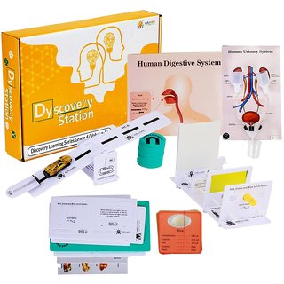 Buy Sparklebox Dyscovery Learning series Grade 4 (Volume 1) Online ...