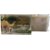 SKIN DOCTOR Camel Milk soap for Whitening 100g Pack of 1 Thailand Product  (100 g)