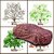 Tamanchi Autocare Cover Indoor Outdoor, All Weather Protection  coverwith Triple Stitched for Tata Dicor (Jungli)