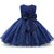 Clobay bow beauty frock for girls