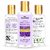 Body Oil  French Lavender   After Bath Natural  Certified Organic  200 ml