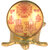 KESAR ZEMS Brass Shree Tortoise Yantra With Vastu Sampuran Shree Yantra Inside Half Of Ball Lence The Symbols Of Persist