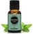 Earth N Pure Peppermint Essential Oil ( Pudina Oil )100 Pure (15 Ml)
