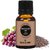 Earth N Pure Grapeseed Carrier Oil 100 Cold-Pressed(15 Ml)