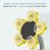 Nucleya Retail  Magic Suction Cup Flower Shape Mobile Phone Holder  // Multi Colour