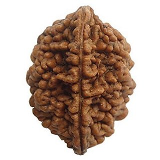JAIPUR GEMSTONE-Natural and Genuine 1 Mukhi Rudraksha Bead by Lab Certified Rudraksh JAIPUR GEMSTONE-Natural and Genuine 1 Mukhi Rudraksha Bead by Lab Certified Rudraksh