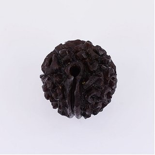                       JAIPUR GEMSTONE-1 Mukhi GOL Dana Rudraksha Indonesian Beads Original Certified by Lab                                              