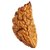 Jaipur Gemstone-one Mukhi Rudraksha Kuju Danaoriginal 1 Mukhi Rudraksh