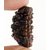 Jaipur Gemstone-natural And Genuine 1 Mukhi Rudraksha Bead By Lab Certified