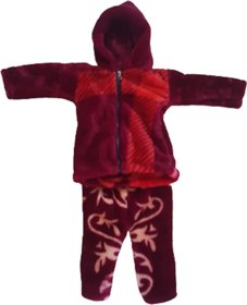 Baby Girls Winter Hoodies With Bottom Set For 2 To 3 Year Old Kids