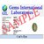 Lehsuiya/Chrysoberyl Gemstone 5.5 Carat Cat's Eye Stone Precious Loose Cat's Eye Stone By CEYLONMINE