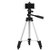 Tripod -3110 Portable Adjustable Aluminum Lightweight Camera Stand With Three-Dimensional Head Quick Release Plate