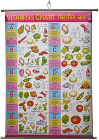 Vitamins Charts Laminated Wall Chart (Size 100X75 CM) Perfect for Kids, Homeschooling, School, College