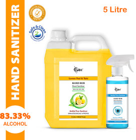 Lemon Fragrance Sanitizer Instant Kills 99.9 Germs Virus Bacteria Provides Effective Protection Hand Sanitizer