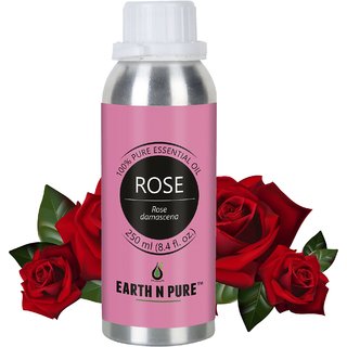                       Earth N Pure Rose Essential Oil ( Gulab Oil ) 100 Pure, Undiluted, Natural And Therapeutic Grade (250ML)                                              