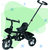 EVOSHINE Kids / Baby Tricycle with Parental Control, Cushion seat and seat Belt for 12 Months to 48 Months Boys / Girls