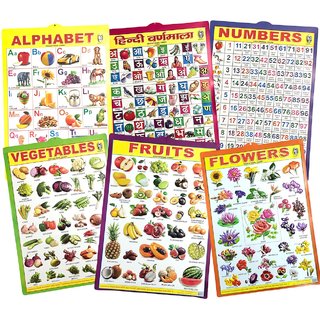 3D Learning Wall Charts for Kids (Pack of 6- Hindi Varnmala English Alphabets and Numbers 1 to 100, Vegetable, Fruits A