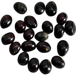                       Plantzoin Black chirmi Gunja Abrus precatorius Kala kaincha 108 Seeds for Puja                                              