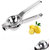 Lemon Squeezer with Bottle Opener Food Grade Stainless Steel, Set of 1, Silver