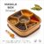 Titanic 7 Sections Masala Box (Dabba) 700ml, Assorted Colour