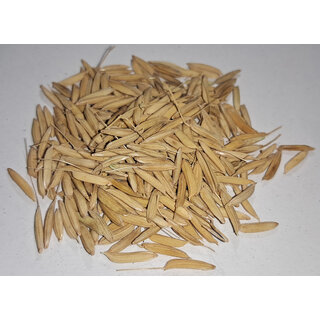                      PB 1121 Rice Paddy Seed 2Kg                                              