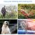 water spray gun nozzle for gardening high pressure water sprayer with trigger spray gun garden washing car bike sprayer