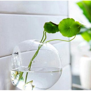                       MAGICMOON Crystal Clear Glass Wall Aquarium, Wall Vase For Hydroponic Plants and Home Decor (Size- 5 Inches) (Set of 1)                                              