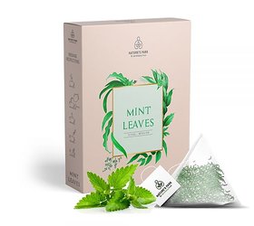 Mint Leaves Herbal Infusion (Pyramid Infusion Bags-5)