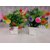 Artificial plants with Pot Set of 2