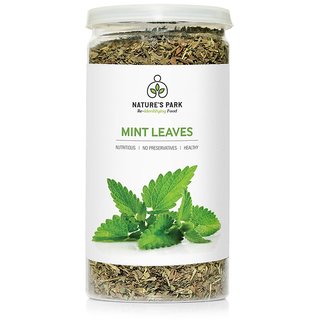                       Dried Mint Leaves Pet Jar (35 g)                                              