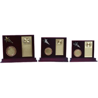 Sigaram 12 Inches Shield For Appreciation Gift,Sport, Academy, Awards K2045 Trophy (12 inch & 10 inch & 9 inch)