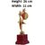 Sigaram Trophy K1217 Trophy (10 Inch)