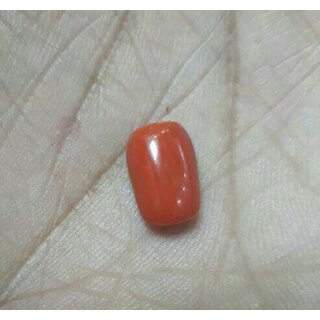                       STONE Red Coral 8.55 Carat                                              