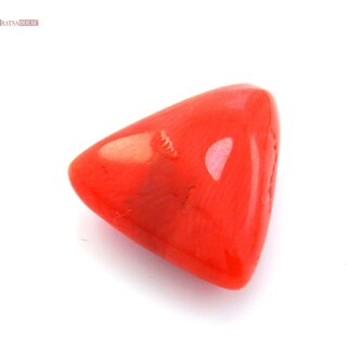                       Red Coral (Triangular) 8.9 Ct (SC-164)                                              