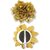 Flower Hair Clips for Girls Kids & Women Fashion Kitty Style Pig Golden Dress 2