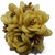 Hair Clips for Girls Kids & Women Hair Rubber Bands For Women Stylish Combo Baby