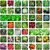 Variety Combo Pack Of 30 Vegetable Seeds For Terrace And Kitchen Gardening